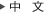 中文