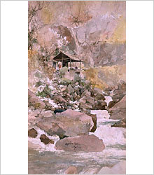 日光・荒沢の画像