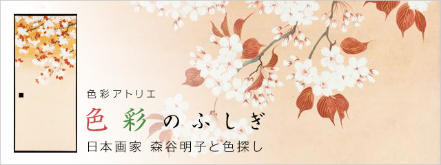 2011年度 色彩アトリエ 色彩のふしぎ