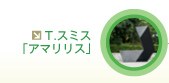 T.���ߥ��֥��ޥ�ꥹ��