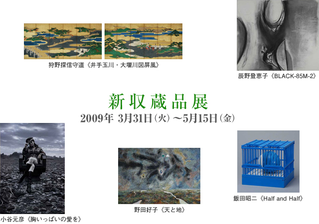 2009ǯ ����¢��Ÿ