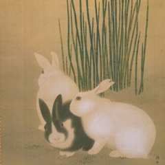 円山応挙《木賊兎図》(部分)の作品画像