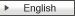 English Site