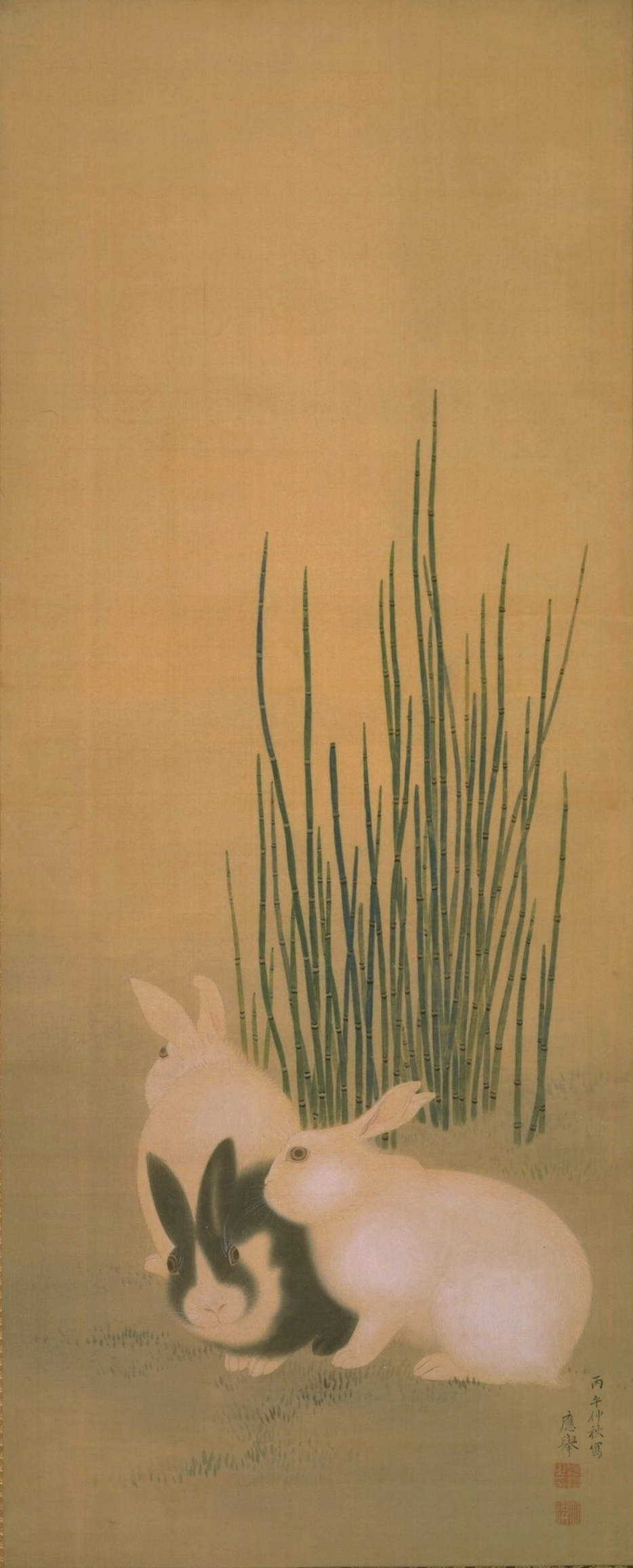 画像:円山応挙《木賊兎図》(部分)