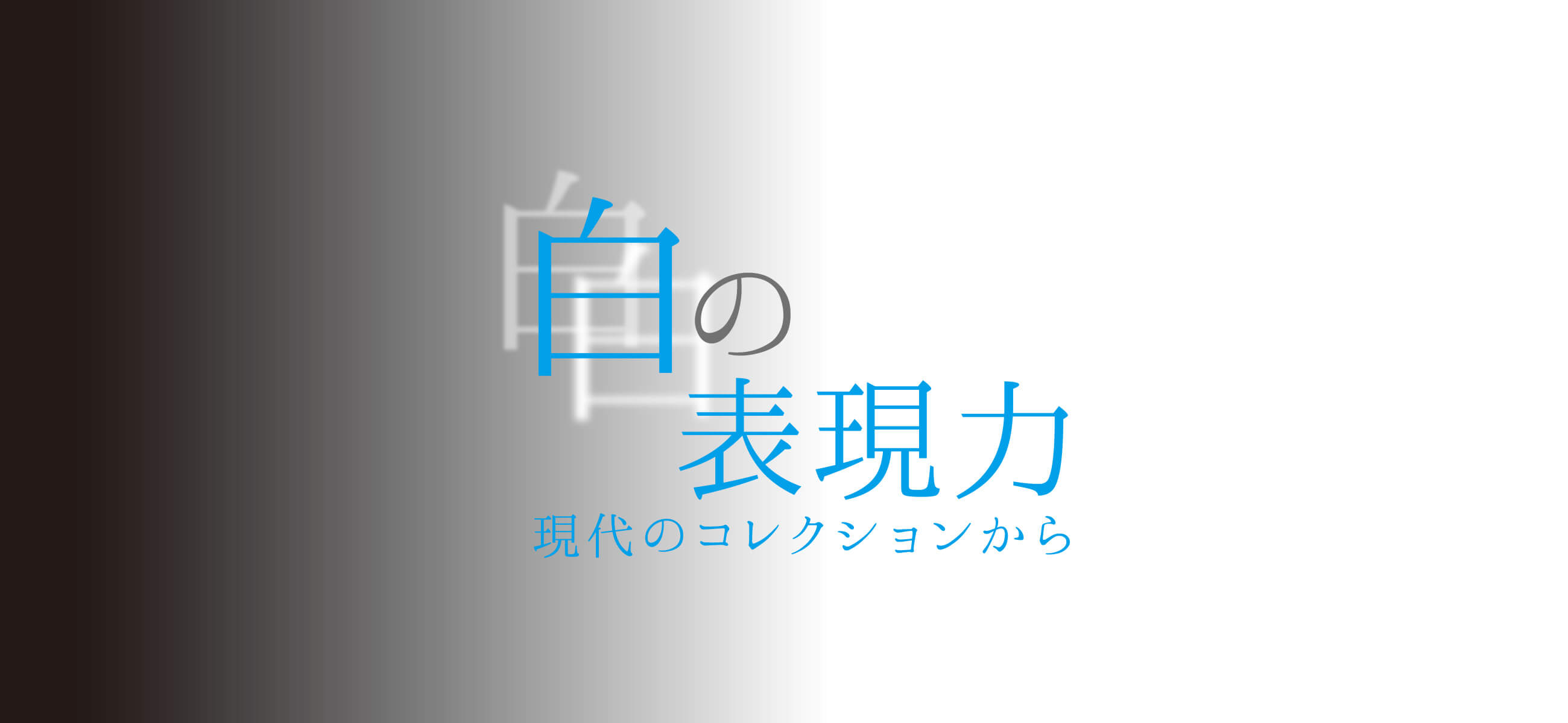 学芸員によるフロアレクチャー（白の表現力）